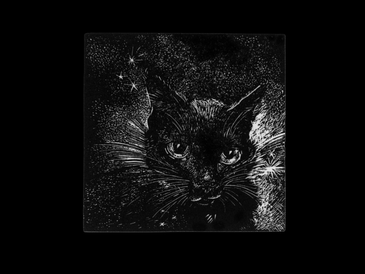 Viriditas: Fiona Mackenzie’s ‘Sacred’ Exhibition at the Highland Print Studio